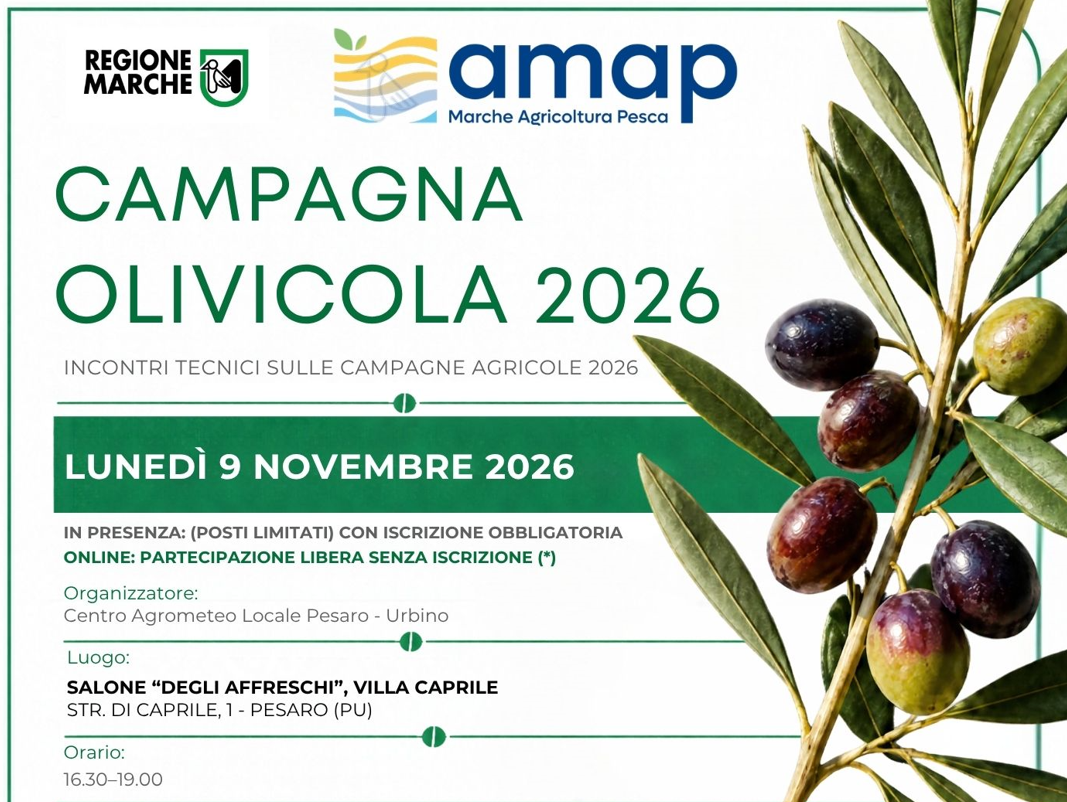 Locandina Campagna Olivicola 2026